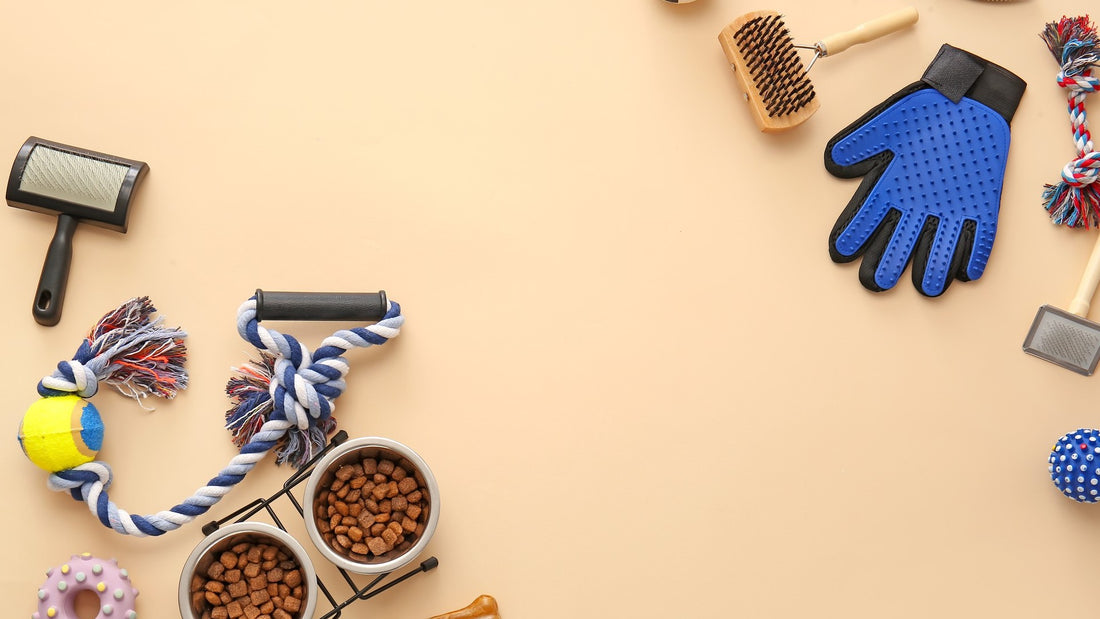 Winter Wonderland: Must-Have Accessories For Your Pets